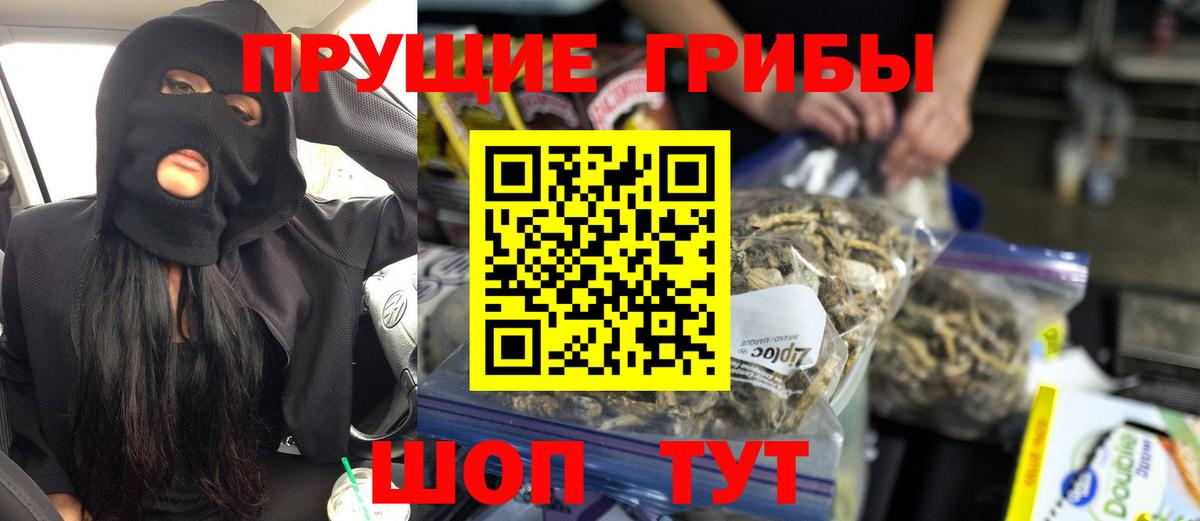 Галлюциногенные грибы GOLDEN TEACHER Новошахтинск