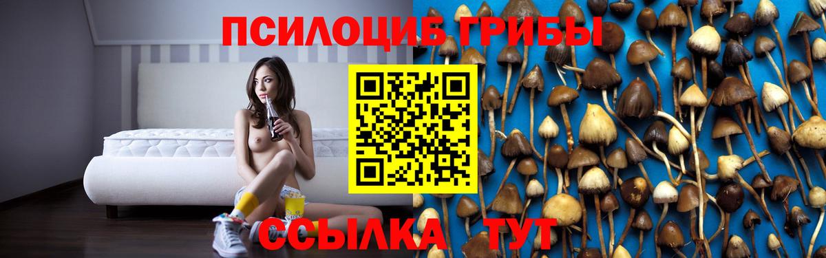 Новошахтинск  Псилоцибиновые грибы Psilocybe  наркота  Галлюциногенные грибы мицелий  Вход с VPN 